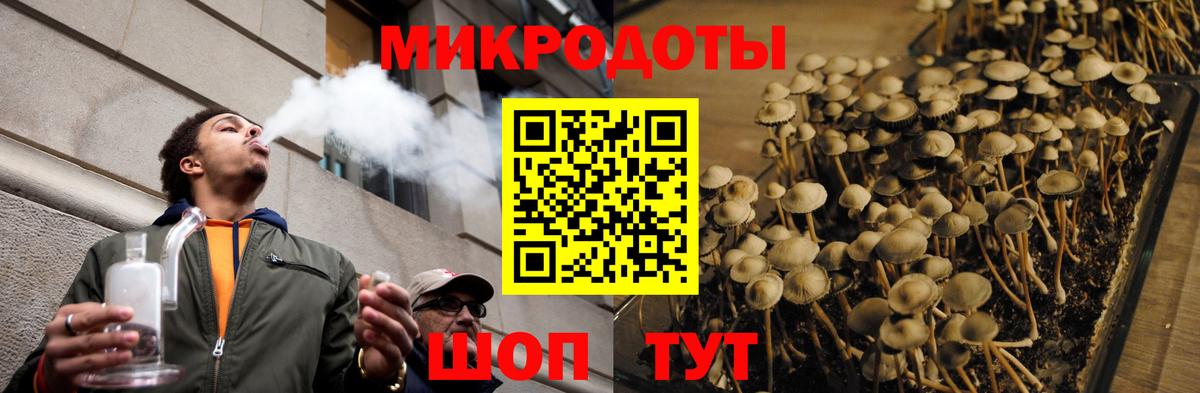 Галлюциногенные грибы MAGIC MUSHROOMS  Вход с VPN  Кыштым 